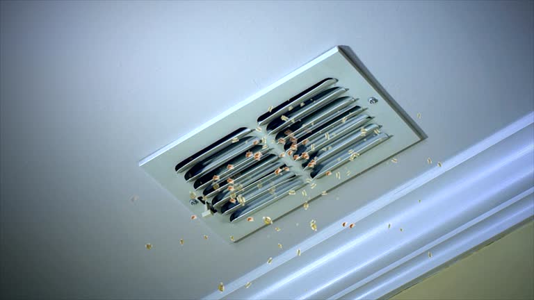 Best Home Air Vent Cleaning  in Fenton, MI