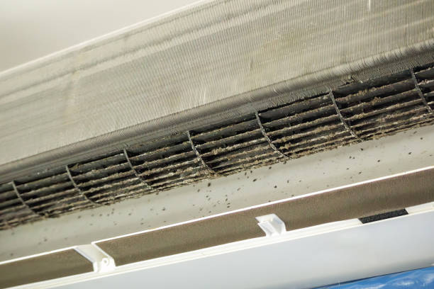 Best Best Air Duct Cleaning Company  in Fenton, MI